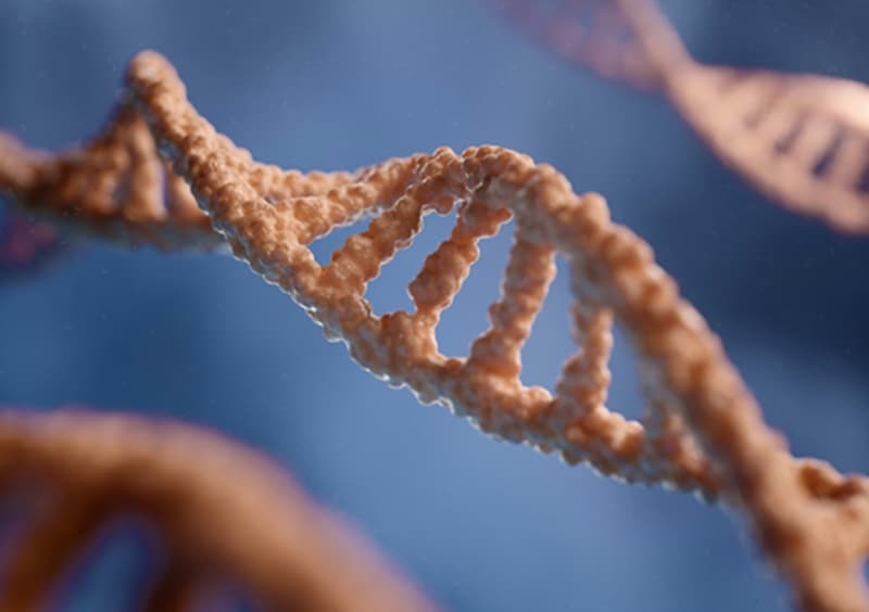 U.S. Court Orders Guardant Health to Pay $245 Million in DNA Sequencing Patent Dispute