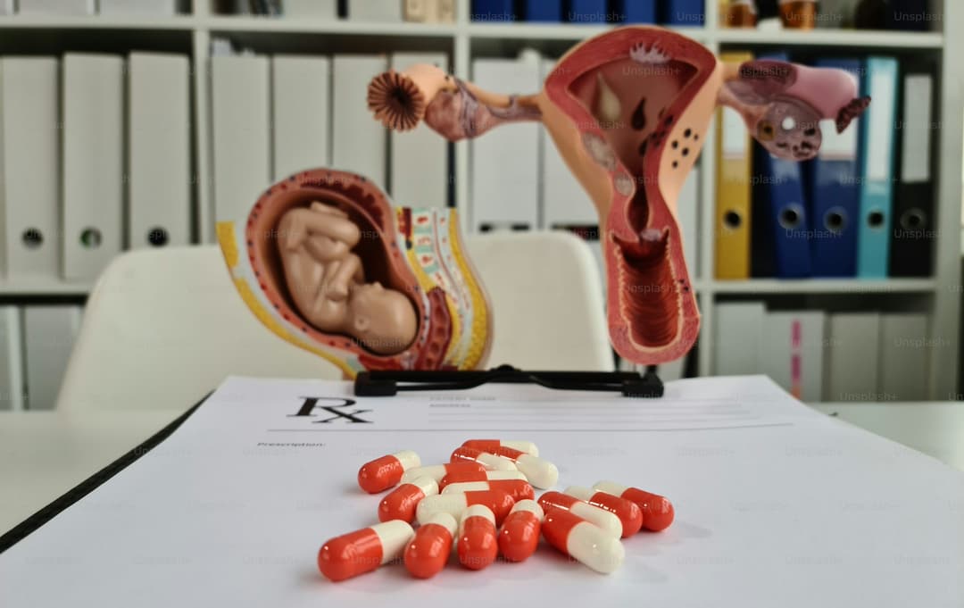 Reproductive Rights on Paper: a Legal and Human Rights Analysis of Abortion Law in Ghana