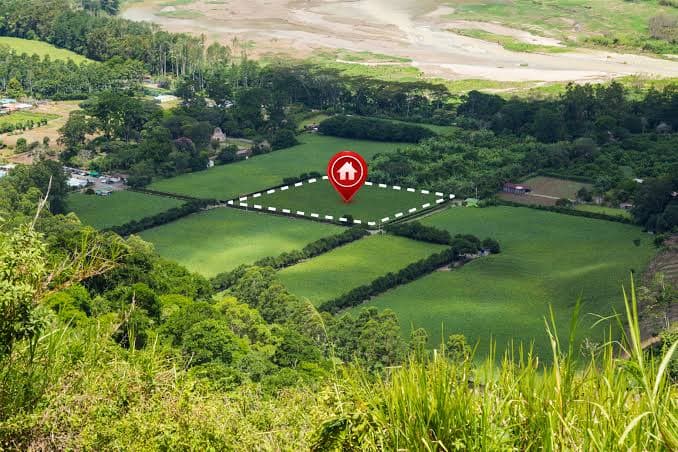 Quicquid Plantatur Solo, Solo Cedit Revisited: Fixtures, Possession and Purchaser Due Diligence under Ghanaian Land Law