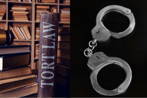 Judicial Innovation in Tort and the Principle of Legality in Criminal Law: A Ghanaian and Comparative Perspective