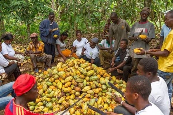 Extinguishing Ownership by Monopsony: The Unconstitutional Displacement of Ghana’s Cocoa Farmers’ Property Rights